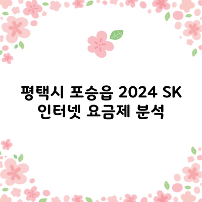 평택시 포승읍 2024 SK 인터넷 요금제 분석