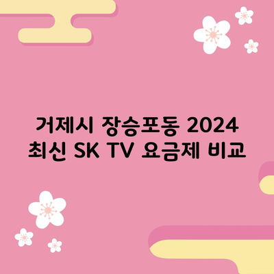 거제시 장승포동 2024 최신 SK TV 요금제 비교