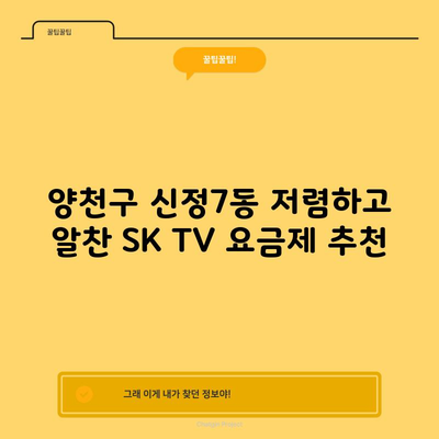 양천구 신정7동 저렴하고 알찬 SK TV 요금제 추천