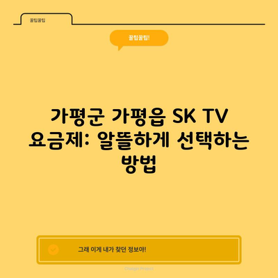 가평군 가평읍 SK TV 요금제: 알뜰하게 선택하는 방법