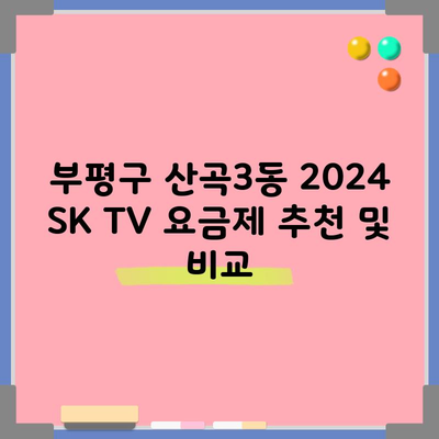 부평구 산곡3동 2024 SK TV 요금제 추천 및 비교