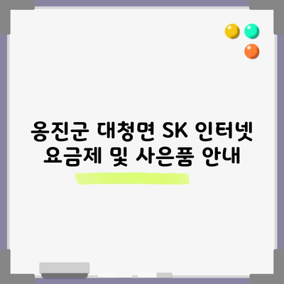 옹진군 대청면 SK 인터넷 요금제 및 사은품 안내