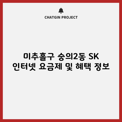 미추홀구 숭의2동 SK 인터넷 요금제 및 혜택 정보