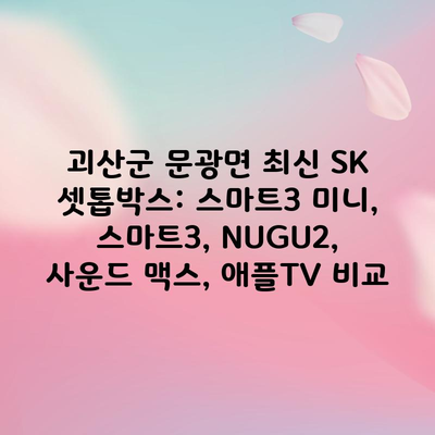 괴산군 문광면 최신 SK 셋톱박스: 스마트3 미니, 스마트3, NUGU2, 사운드 맥스, 애플TV 비교