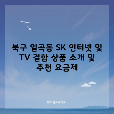 북구 일곡동 SK 인터넷 및 TV 결합 상품 소개 및 추천 요금제