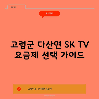 고령군 다산면 SK TV 요금제 선택 가이드