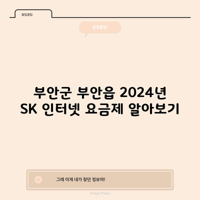 부안군 부안읍 2024년 SK 인터넷 요금제 알아보기