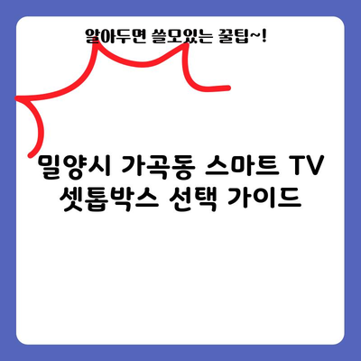 밀양시 가곡동 스마트 TV 셋톱박스 선택 가이드