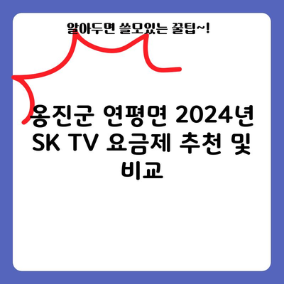 옹진군 연평면 2024년 SK TV 요금제 추천 및 비교