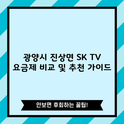 광양시 진상면 SK TV 요금제 비교 및 추천 가이드