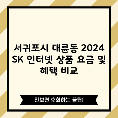 서귀포시 대륜동 2024 SK 인터넷 상품 요금 및 혜택 비교