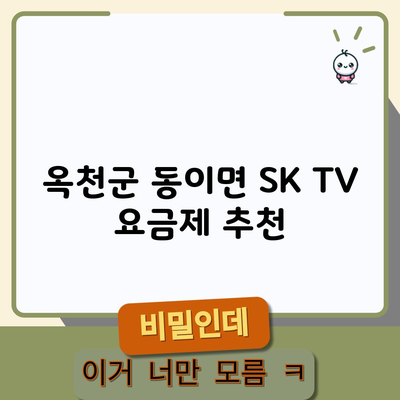 옥천군 동이면 SK TV 요금제 추천