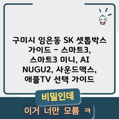 구미시 임은동 SK 셋톱박스 가이드 – 스마트3, 스마트3 미니, AI NUGU2, 사운드맥스, 애플TV 선택 가이드