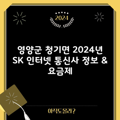 영양군 청기면 2024년 SK 인터넷 통신사 정보 & 요금제