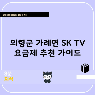 의령군 가례면 SK TV 요금제 추천 가이드