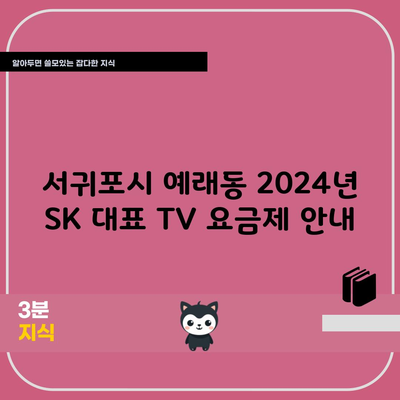 서귀포시 예래동 2024년 SK 대표 TV 요금제 안내