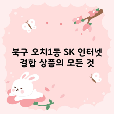 북구 오치1동 SK 인터넷 결합 상품의 모든 것