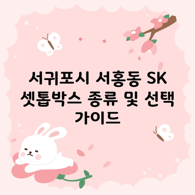 서귀포시 서홍동 SK 셋톱박스 종류 및 선택 가이드