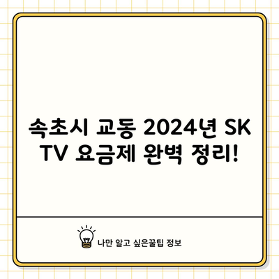 속초시 교동 2024년 SK TV 요금제 완벽 정리!