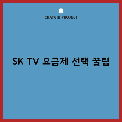 SK TV 요금제 선택 꿀팁