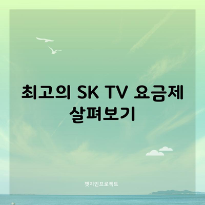 최고의 SK TV 요금제 살펴보기