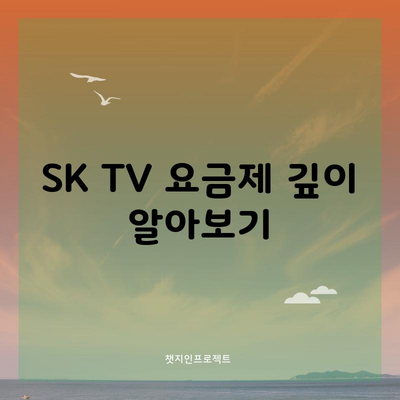 SK TV 요금제 깊이 알아보기