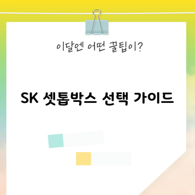 SK 셋톱박스 선택 가이드