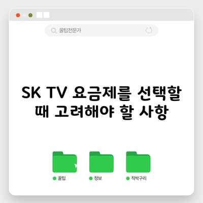 SK TV 요금제를 선택할 때 고려해야 할 사항