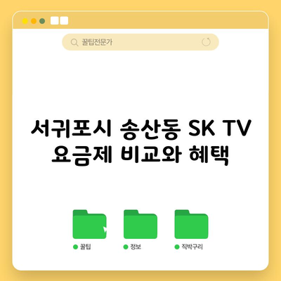 서귀포시 송산동 SK TV 요금제 비교와 혜택