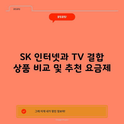 SK 인터넷과 TV 결합 상품 비교 및 추천 요금제