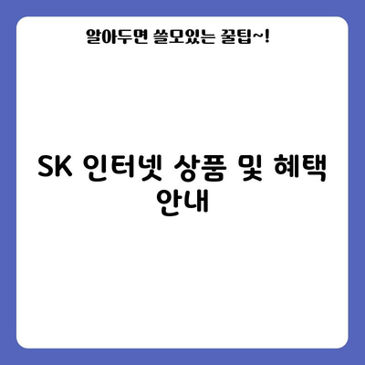 SK 인터넷 상품 및 혜택 안내