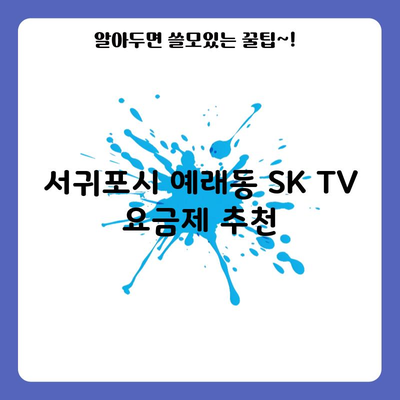 서귀포시 예래동 SK TV 요금제 추천