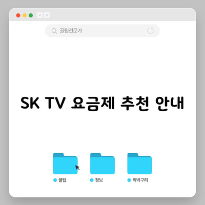 SK TV 요금제 추천 안내