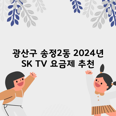 광산구 송정2동 2024년 SK TV 요금제 추천