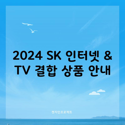 2024 SK 인터넷 & TV 결합 상품 안내