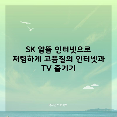 SK 알뜰 인터넷으로 저렴하게 고품질의 인터넷과 TV 즐기기