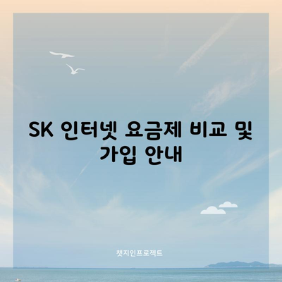 SK 인터넷 요금제 비교 및 가입 안내