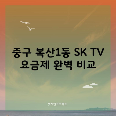 중구 복산1동 SK TV 요금제 완벽 비교