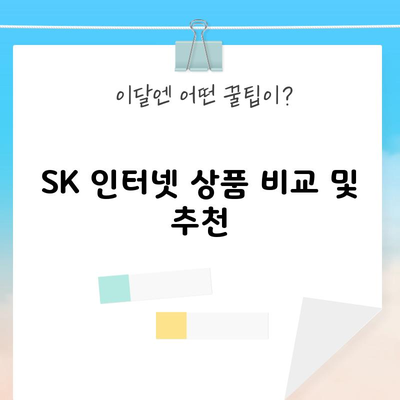 SK 인터넷 상품 비교 및 추천