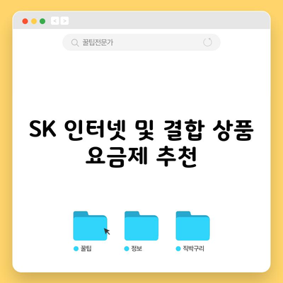 SK 인터넷 및 결합 상품 요금제 추천