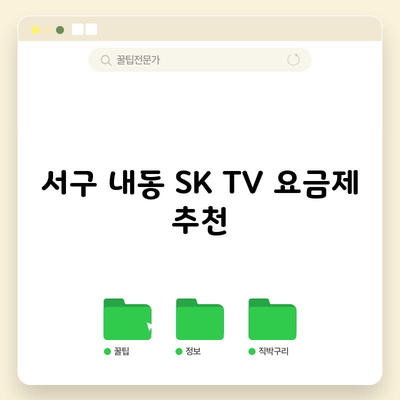 서구 내동 SK TV 요금제 추천