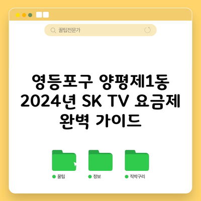 영등포구 양평제1동 2024년 SK TV 요금제 완벽 가이드