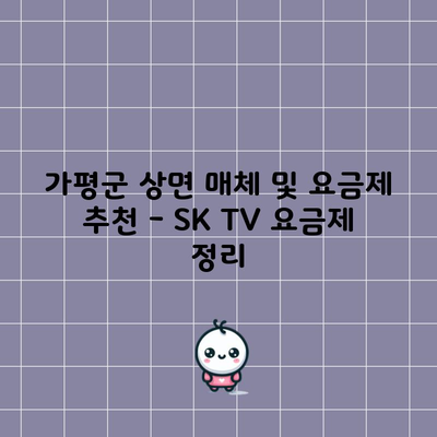 가평군 상면 매체 및 요금제 추천 – SK TV 요금제 정리