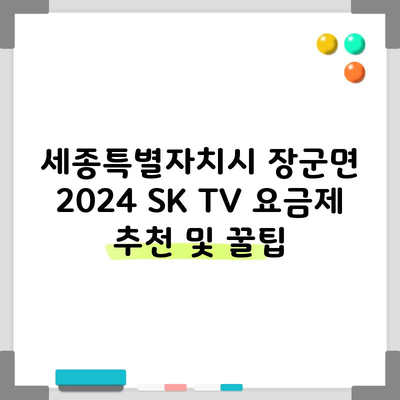 세종특별자치시 장군면 2024 SK TV 요금제 추천 및 꿀팁