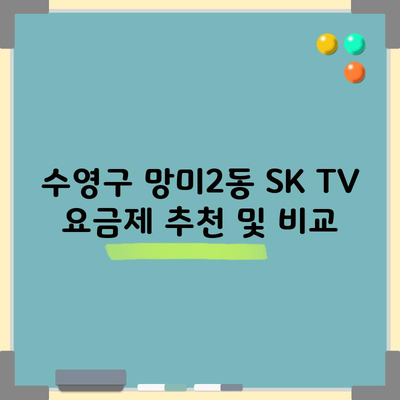 수영구 망미2동 SK TV 요금제 추천 및 비교