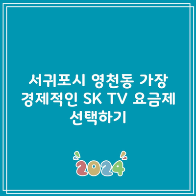 서귀포시 영천동 가장 경제적인 SK TV 요금제 선택하기