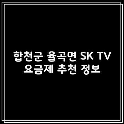 합천군 율곡면 SK TV 요금제 추천 정보