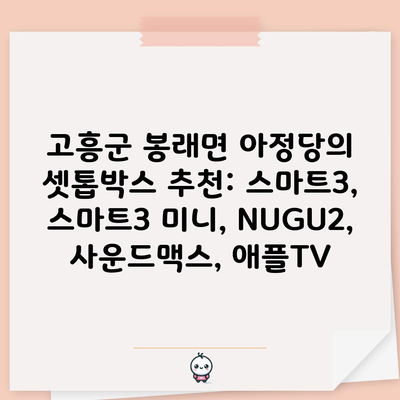 고흥군 봉래면 아정당의 셋톱박스 추천: 스마트3, 스마트3 미니, NUGU2, 사운드맥스, 애플TV