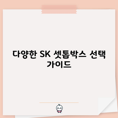 다양한 SK 셋톱박스 선택 가이드