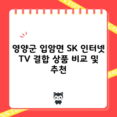 영양군 입암면 SK 인터넷 TV 결합 상품 비교 및 추천